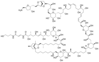 organic chemistry - Grade 12 - Quizizz