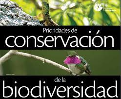 biodiversidad y conservación Tarjetas didácticas - Quizizz