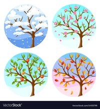 seasons Flashcards - Quizizz