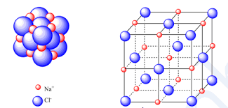 trạng thái của vật chất và lực liên phân tử - Lớp 10 - Quizizz