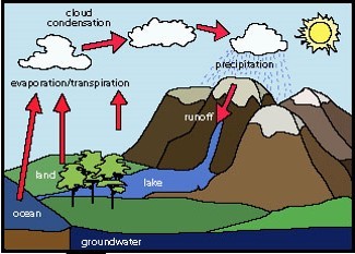 Water cycle | Quizizz