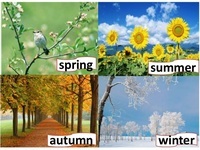 Weather & Seasons - Year 11 - Quizizz