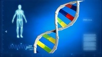 regulação genética - Série 11 - Questionário