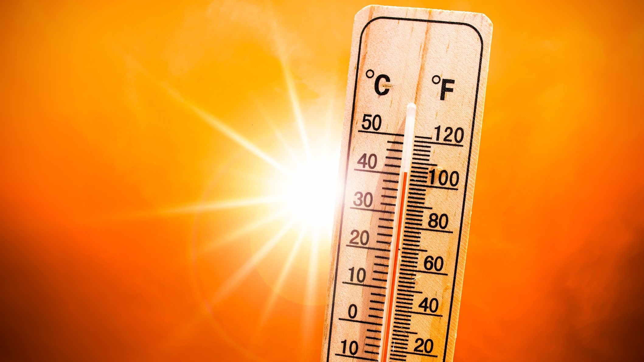 units of temperature - Year 6 - Quizizz