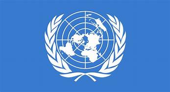 United Nations - True or False