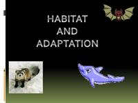 Natural Selection and Adaptations - Class 5 - Quizizz