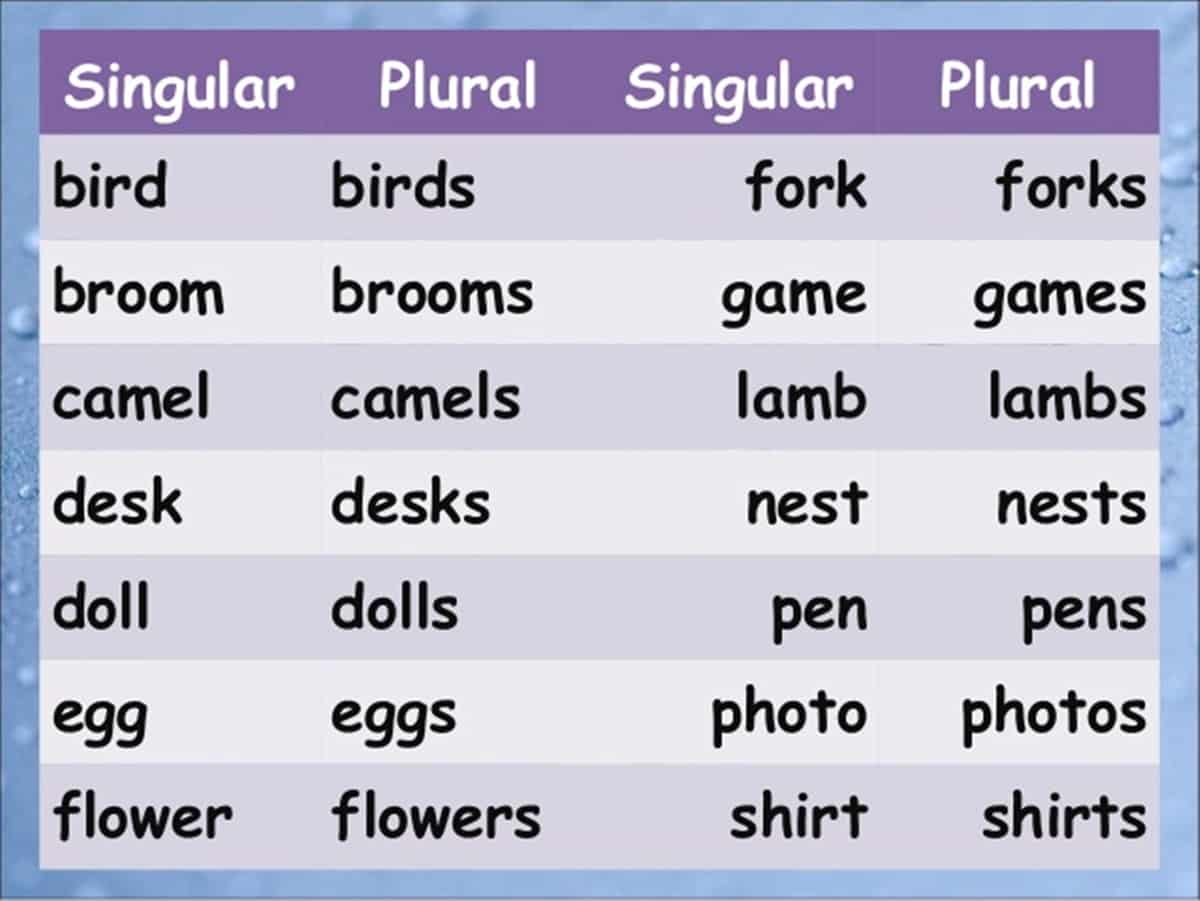 singular-and-plural-nouns-english-quizizz