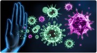 el sistema inmune - Grado 5 - Quizizz