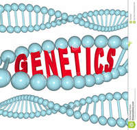genetics Flashcards - Quizizz