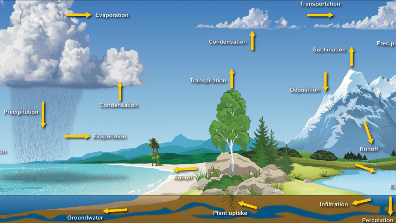 biogeochemical-cycles-science-quizizz