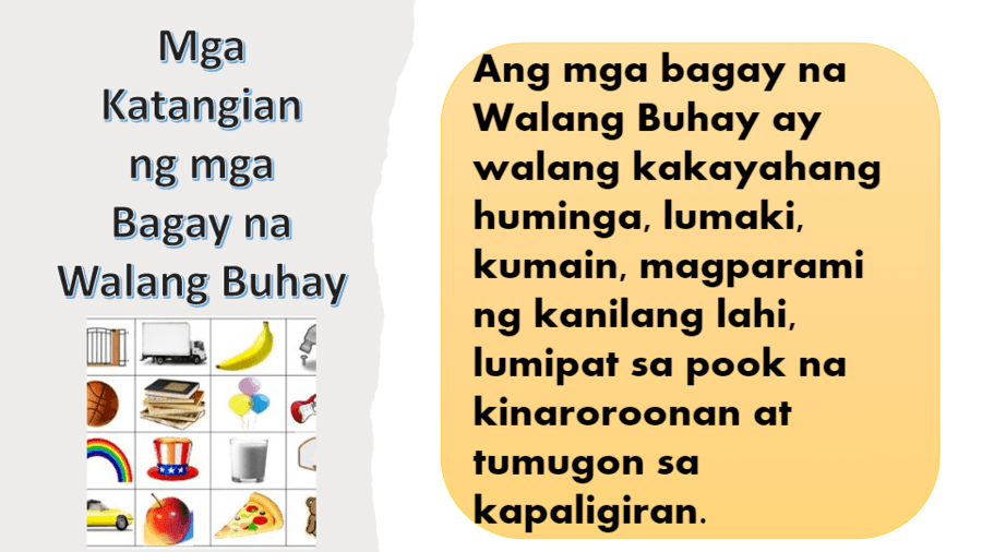 Animals Na Walang Buhay - walang ngumiti