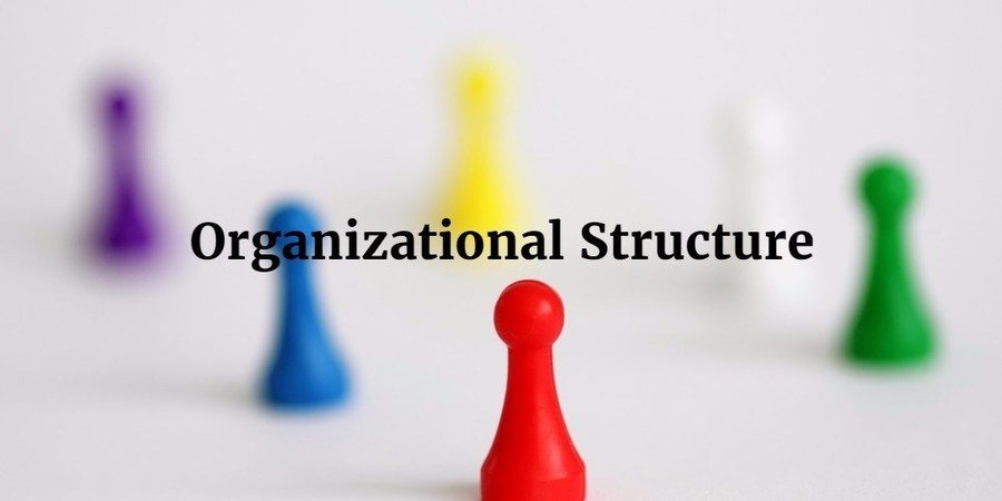 Organizational Structure | Other - Quizizz