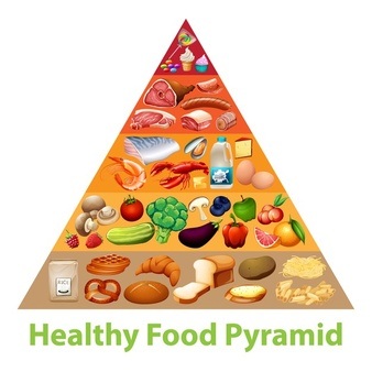 Science First trimester revision game 3/4 (Healthy eating) | Quizizz