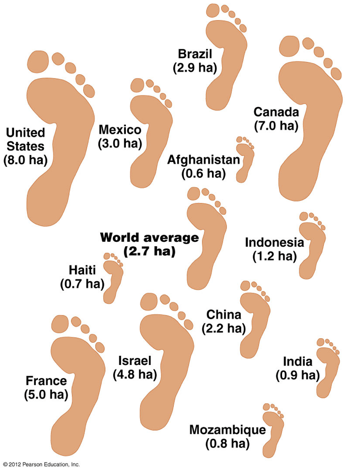 ECOLOGICAL FOOTPRINT