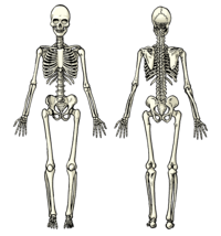 Kostki - Klasa 5 - Quiz