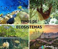 ecossistemas - Série 3 - Questionário