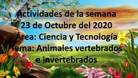 vertebrados e invertebrados Tarjetas didácticas - Quizizz