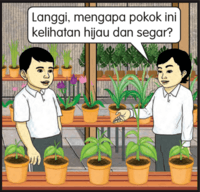 Membuat Inferensi dan Menarik Kesimpulan - Kelas 3 - Kuis