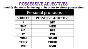 Lesson 17: Possessive Adjectives (my, your, her, his...) | 409 plays ...