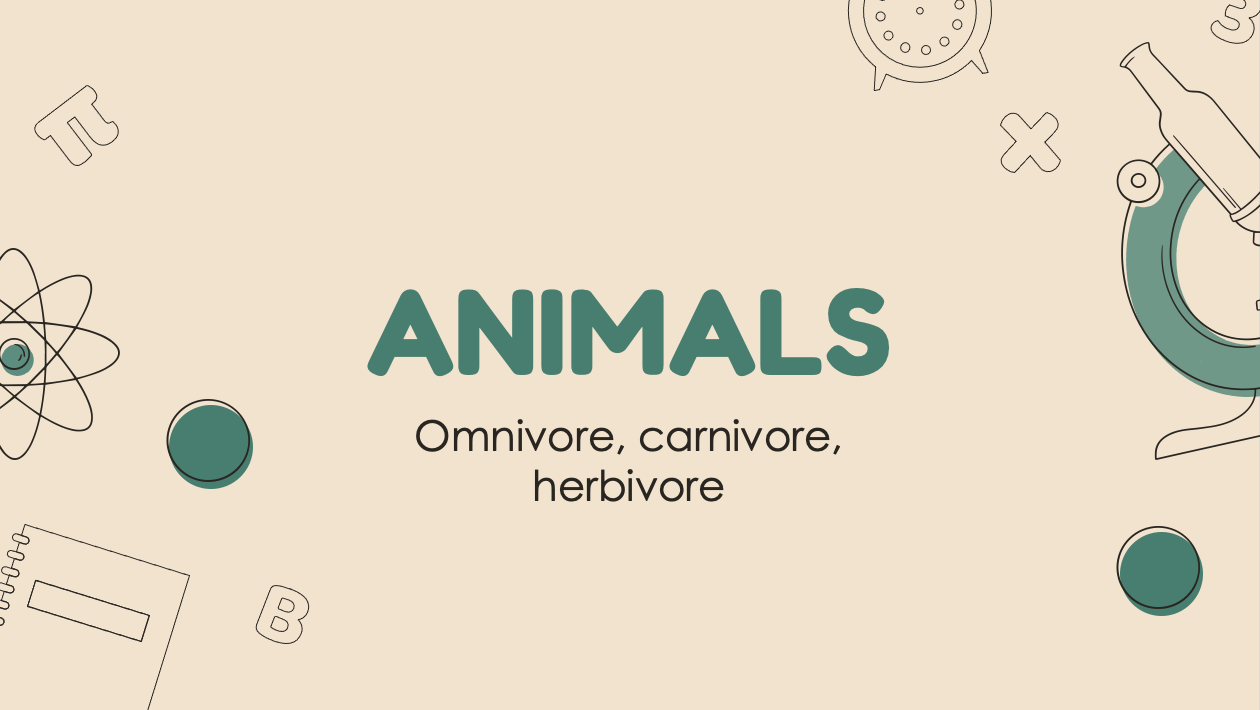 ANIMALS (Herbivore, Omnivore, Carnivore) | 211 plays | Quizizz