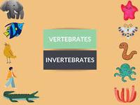 vertebrates and invertebrates Flashcards - Quizizz