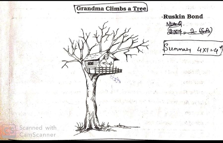 summary of grandma climbs a tree