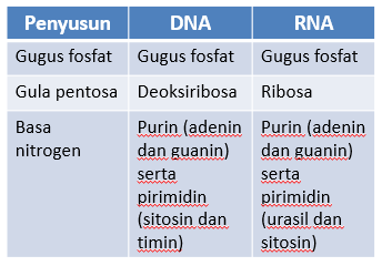 GENETIKA | Science - Quizizz