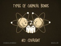 Covalent Compounds