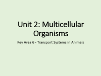 Animals - Class 11 - Quizizz