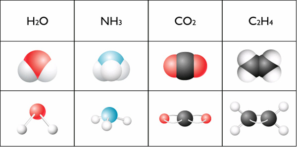 八下1 2隨堂測驗 Chemistry Quiz Quizizz