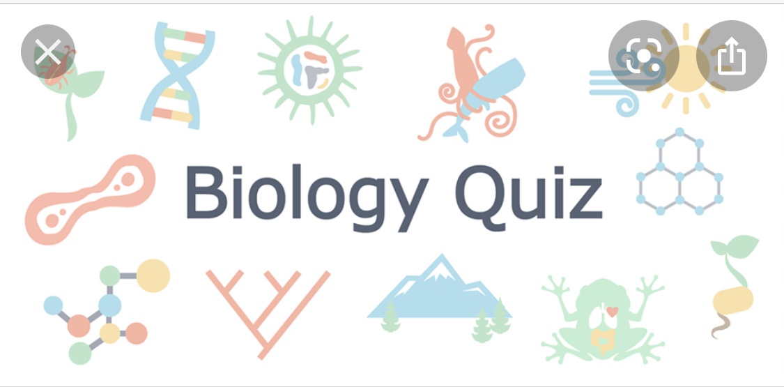 biology essay quiz