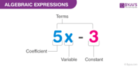 Expressions - Year 7 - Quizizz