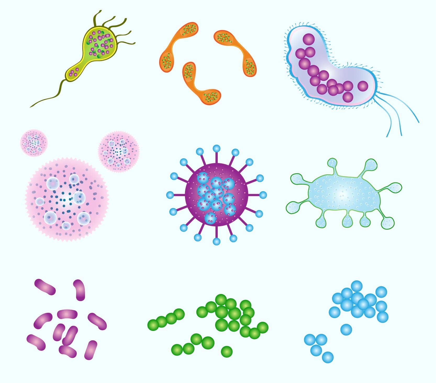 MIKROORGANISMA TAHUN 6  Science Quiz  Quizizz