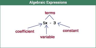 Math 6 - Chapter 7: Algebraic Expressions Quiz - Quizizz