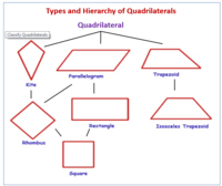 Classifying Quadrilaterals Flashcards - Quizizz