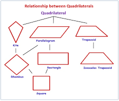 Classifying Quadrilaterals - Grade 7 - Quizizz