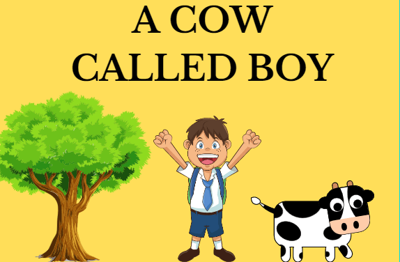 a-cow-called-boy-review-english-quizizz