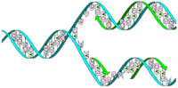 biotecnología - Grado 6 - Quizizz