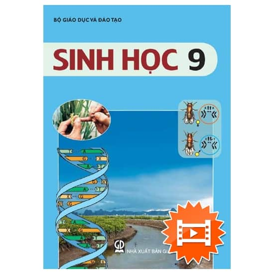 Xác suất & Tổ hợp - Lớp 7 - Quizizz