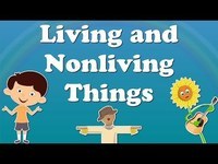 living and non living things Flashcards - Quizizz