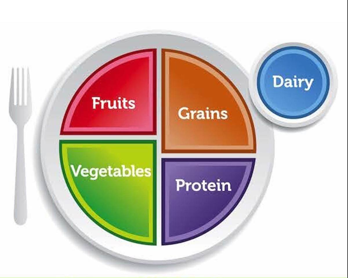 MyPlate | 1.2K plays | Quizizz