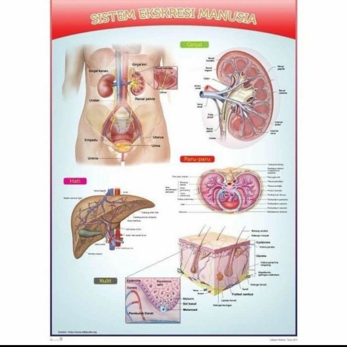 Ekspresi Setara - Kelas 9 - Kuis