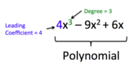 Polynomial Operations - Grade 12 - Quizizz