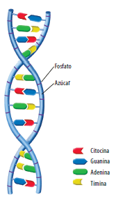 Analizar la estructura del texto - Grado 12 - Quizizz