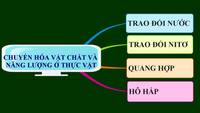 trạng thái của vật chất và lực liên phân tử - Lớp 11 - Quizizz