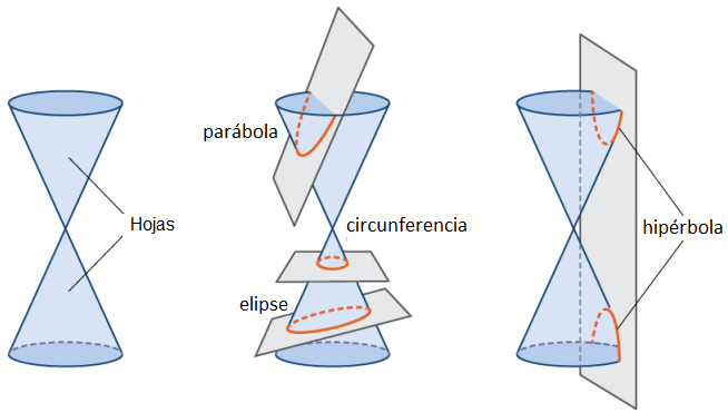 Secciones cónicas - Grado 2 - Quizizz