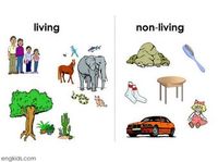 living and non living things - Class 5 - Quizizz