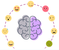 Emotions Flashcards - Quizizz