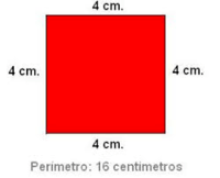 Perímetro - Série 12 - Questionário