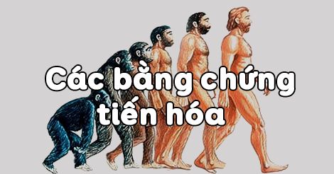 cân bằng hóa học - Lớp 12 - Quizizz